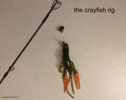 crayfish rig.jpg